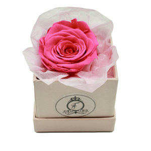 Long Life Pink Square Box