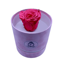 Long Life Pinky Round Box