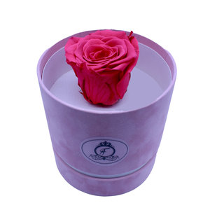 Long Life Pinky Round Box