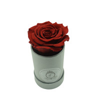 Long Life Rood Round Box Long Life Rood Round Box