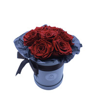 Long Life Box Rood Box