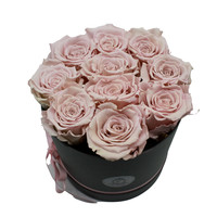 Long Life Box Licht Roze Box