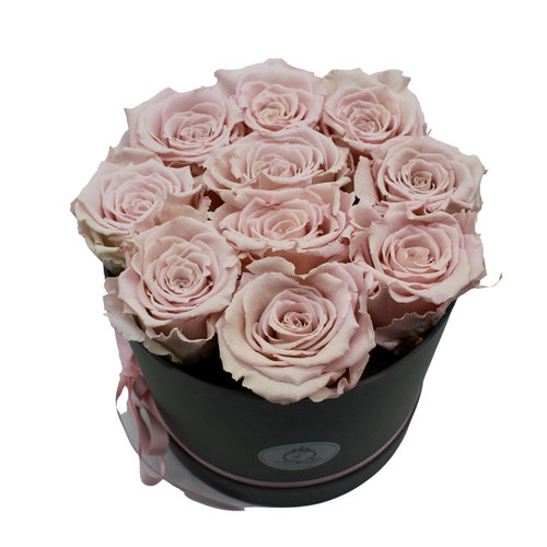 Long Life Box Licht Roze Box