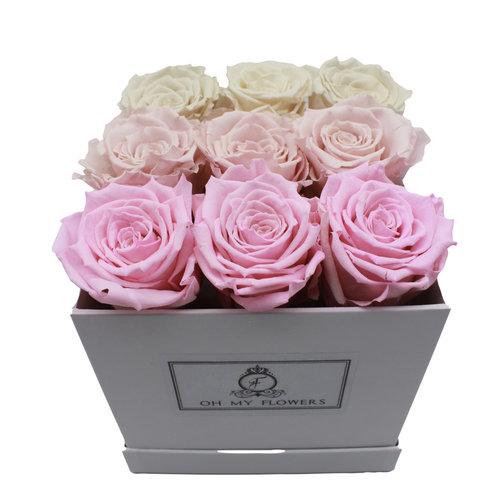 Long Life Ligcht Mix Square Box Long Life Ligcht Mix Square Box