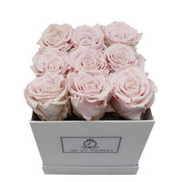 Long Life Light Pink