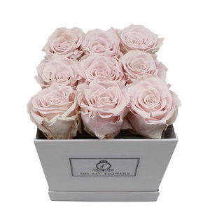 Long Life Light Pink