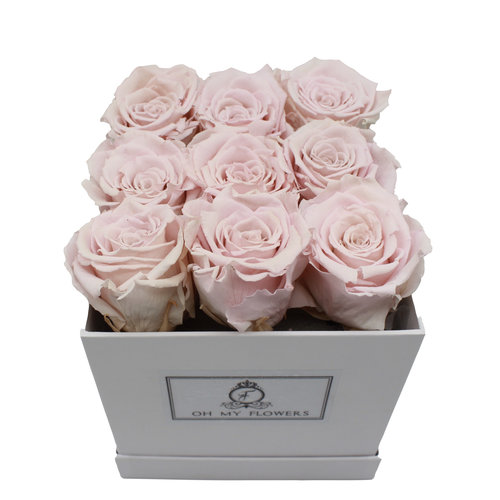 Long Life Light Pink