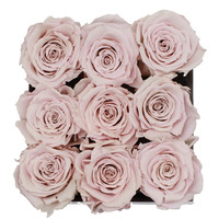 Long Life Light Pink