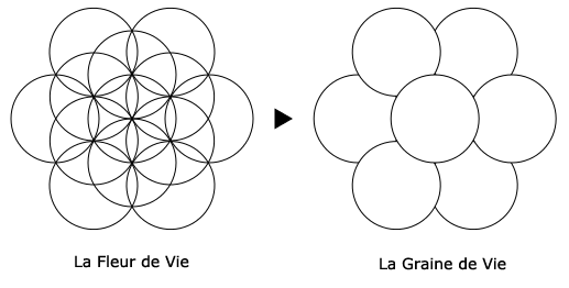 La Fleur de Vie l Symbole géométrique sacré - Luma Creation