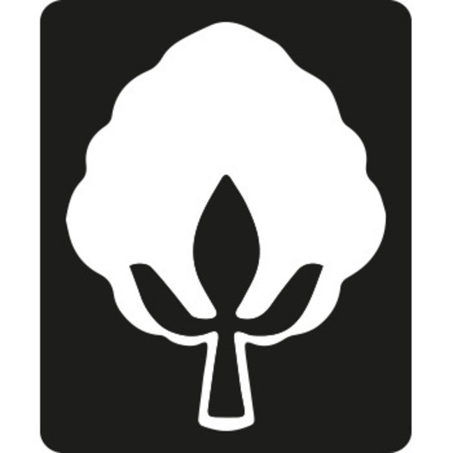 Polydaun Liv 4-seizoenen dekbed + kussen 60x70