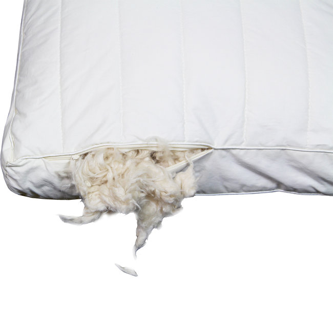 Polydaun Hoofdkussen First Kapok Boxmodel Polydaun