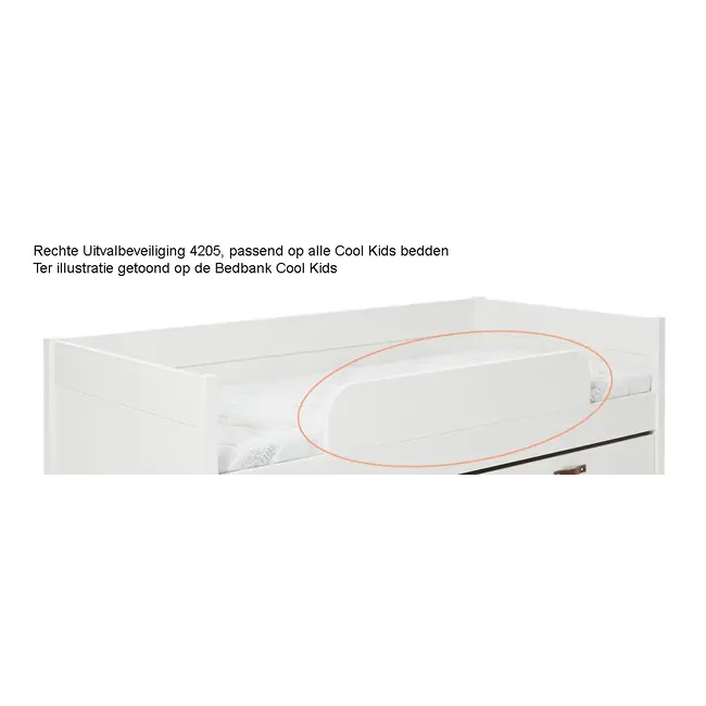 LIFETIME kidsrooms Cool kids kinderbed - Lifetime