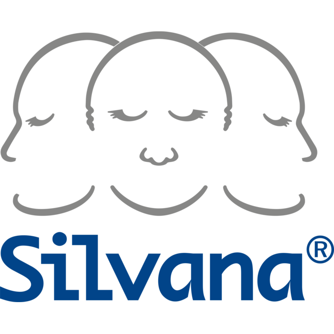 Silvana 4- Seizoenen Dekbed Silvana Deluxe- 90% Ganzendons