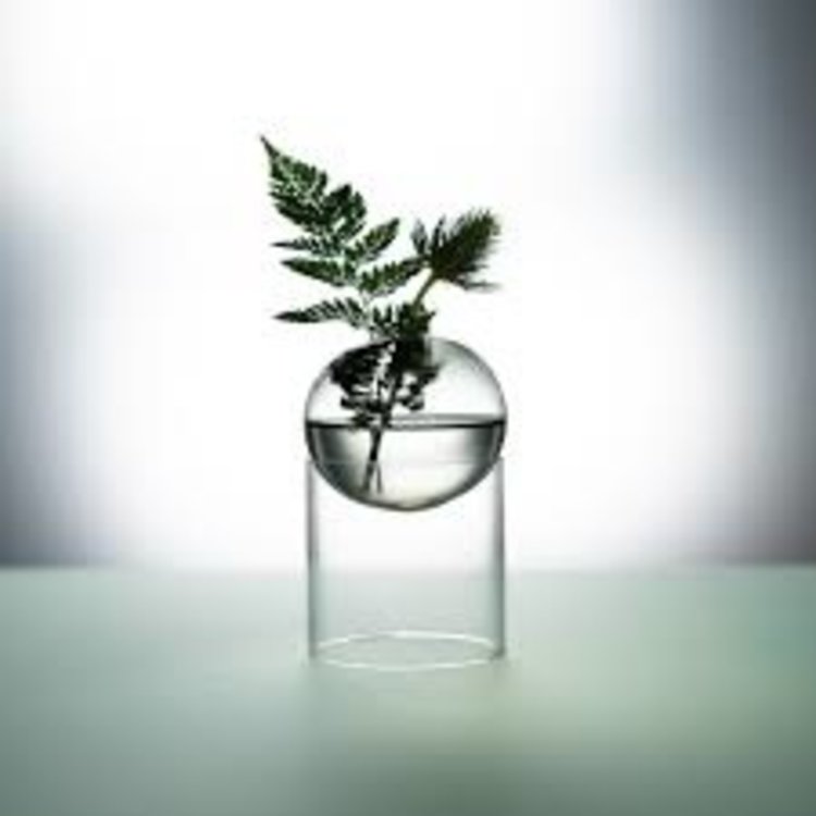 Studio About Vase Flower Bubble standing clear high