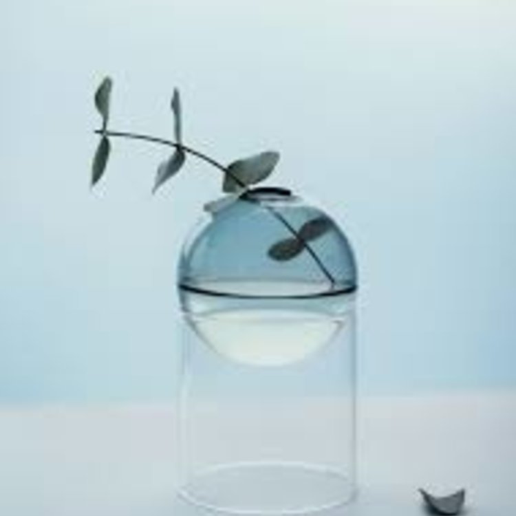 Studio About Vase Flower Bubble standing clear high