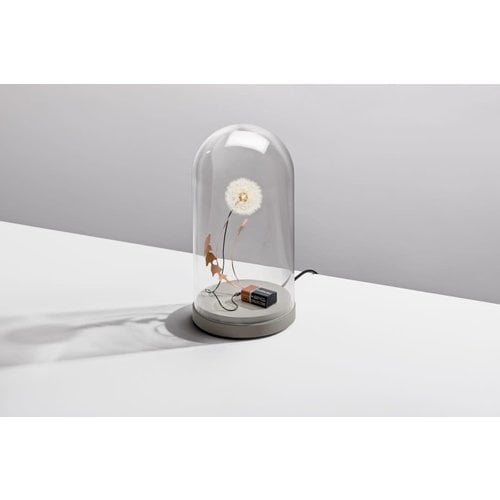 Studio DRIFT Lamp Dandelight met stolp