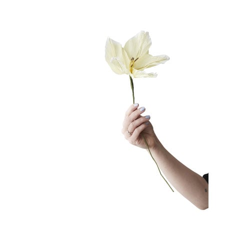 Studio About Paper flower Lily yellow