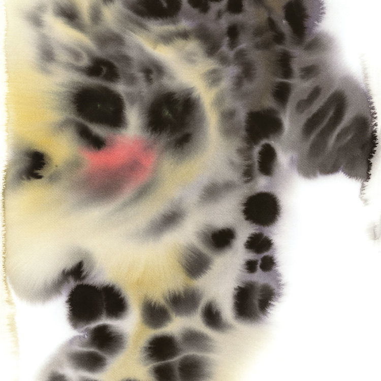 The Wrong Shop Rop van Mierlo poster Snow Leopard