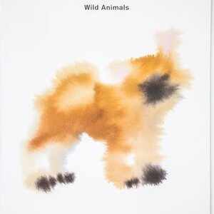 Calendar Wild Animals