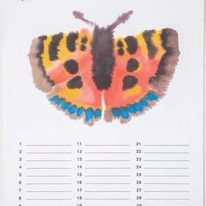 Kalender Wild Animals