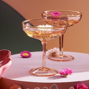 &k amsterdam &k set of 2 champagne Coupe pink