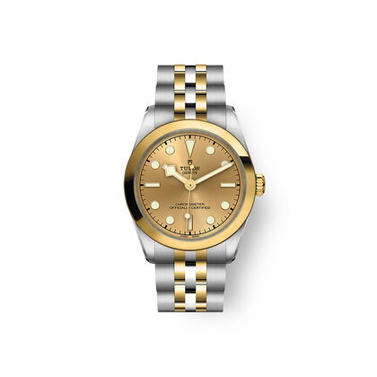 Tudor Black Bay 31 S&G Tudor Black Bay 31 S&G
