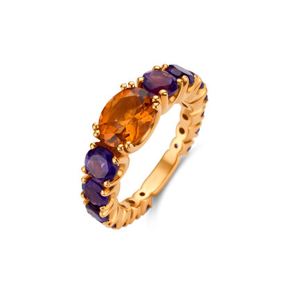 Leon Martens Alliance ring Leon Martens Alliance ring