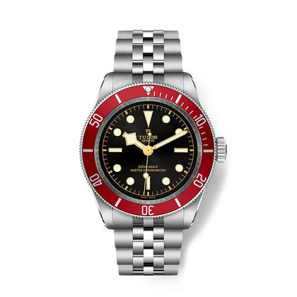 Tudor Black Bay