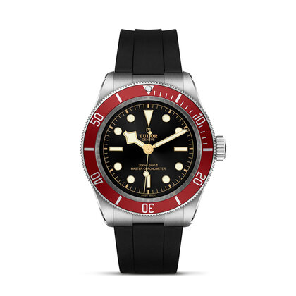 Tudor Black Bay