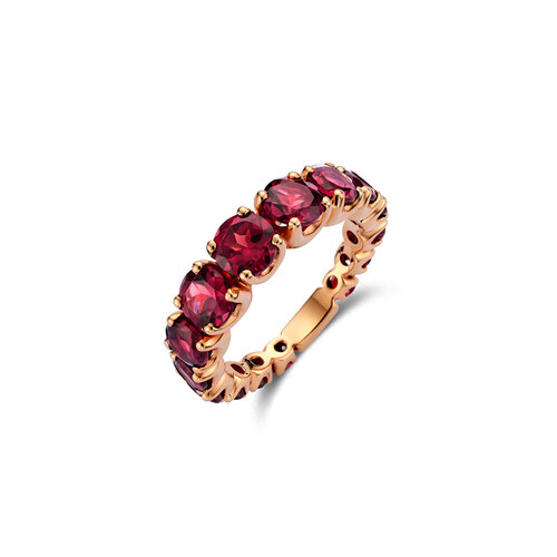 Leon Martens Colours alliance ring Leon Martens Juwelier