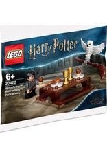 LEGO  LEGO Harry Potter 30420 Harry Potter en Hedwig (polybag)