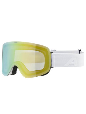 Alpina Alpina Penken Skibril | Wit