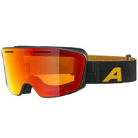 Alpina Nendaz Q-Lite OTG Skibril | Zwart Geel