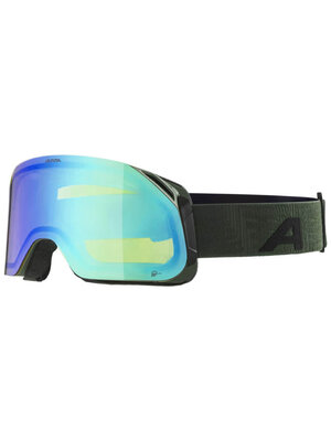 Alpina Alpina Blackcomb Q-Lite OTG Skibril | Grijs