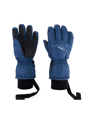 Sinner Sinner Phoenix Dry-S Junior Handschoenen - Blauw