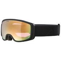 Alpina Bivio QV Photochromic Skibril - Zwart