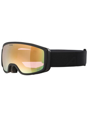 Alpina Alpina Bivio QV Photochromic Skibril | Zwart