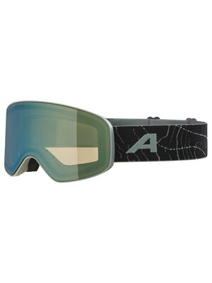 Alpina Alpina Fernie Q-Lite Junior Skibril 2025 | Groen