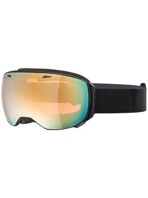 Alpina Alpina Big Horn Q Skibril | Zwart