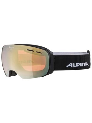 Alpina Alpina Granby Q Skibril | Zwart