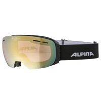 Alpina Granby QV Photochromic Skibril | Zwart