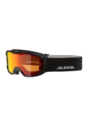 Alpina Alpina Pheos Junior Q-Lite Skibril |  Zwart