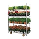 Roll Containers Dinarmaqueses para Plantas