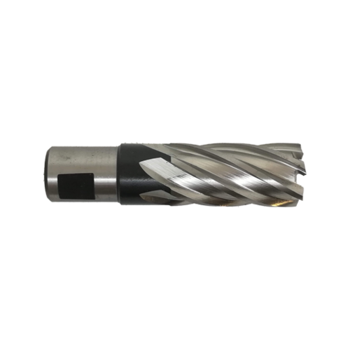 Evolution Power Tools Steel Line KERNFREES LANG - 17 MM