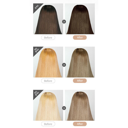 Pudding Hair Color Stopover Ash Beige