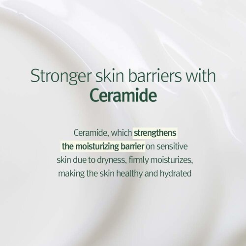 Pyunkang Yul Calming Moisture Barrier Cream Pyunkang Yul Calming Moisture Barrier Cream