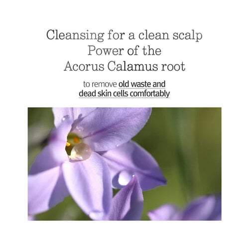 Pyunkang Yul Low pH Scalp Shampoo