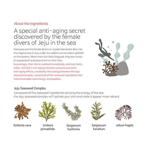 Anti-Aging Intensive Ampoule Anti-Aging Intensive Ampoule
