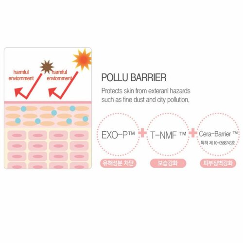 Holika Holika Puri pore No Sebum Pact