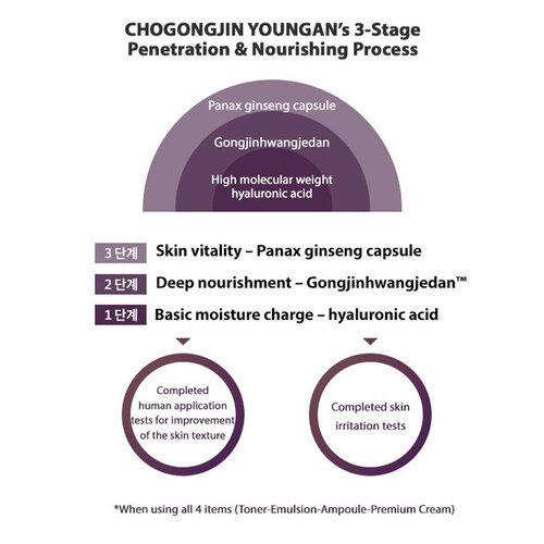 Missha Cho Gong Jin Youngan Premium Cream